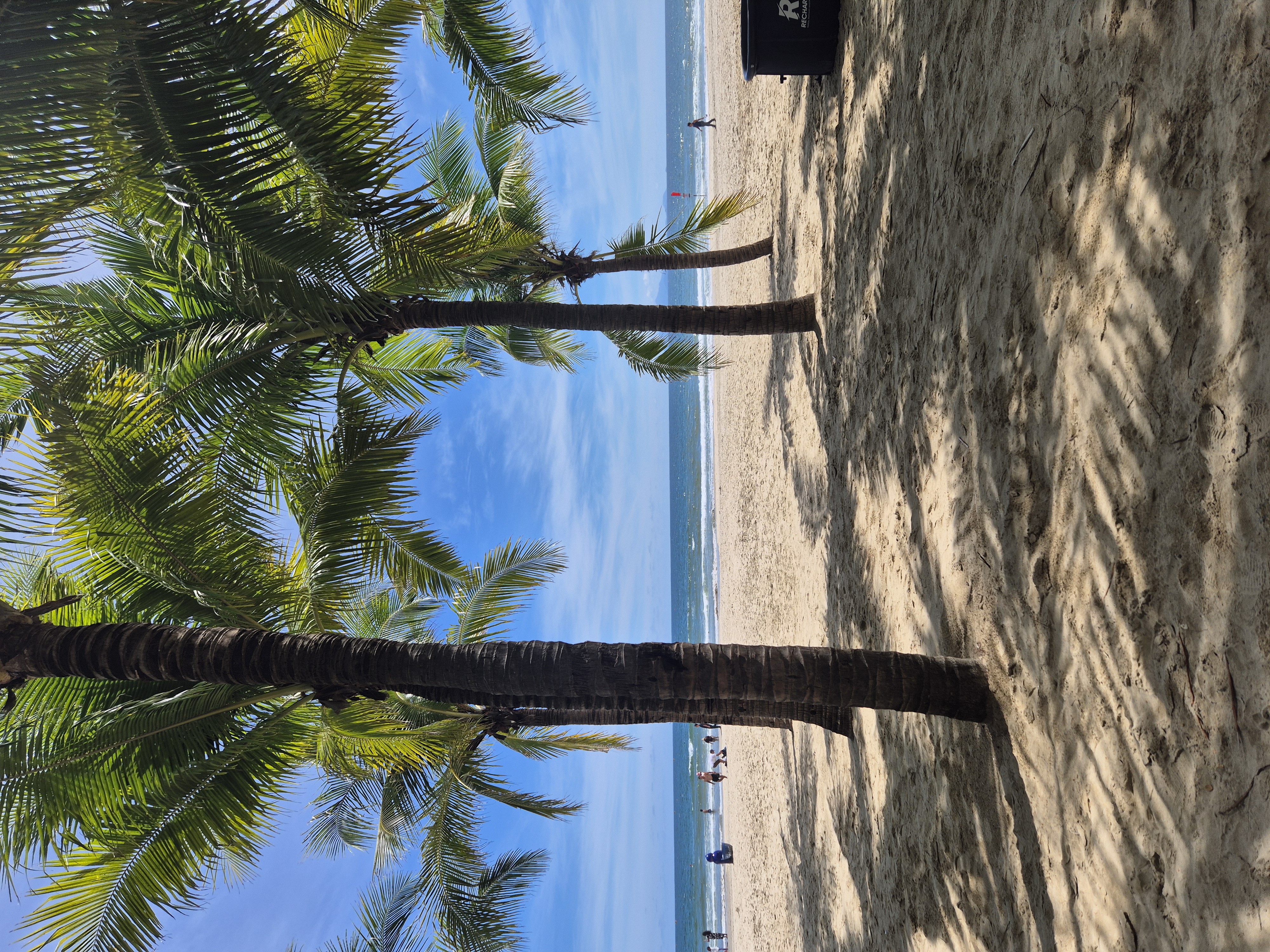 Da Nang in Vietnam 🤩